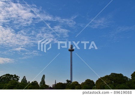 東京春天傍晚的多摩湖周圍 東京春天傍晚的多摩湖周圍 89619088