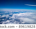View from the plane 89619828