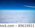 View from the plane 89619831