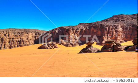 Abstract Rock formation at Boumediene , Tassili nAjjer national park, Algeria 89620012