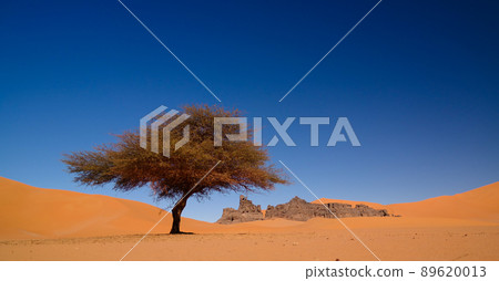 Landscape of Sand dune and sandstone nature sculpture at Tamezguida in Tassili nAjjer national park, Algeria Landscape of Sand dune and sandstone nature sculpture at Tamezguida in Tassili nAjjer national park, Algeria 89620013