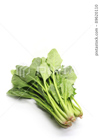 spinach spinach 89620110