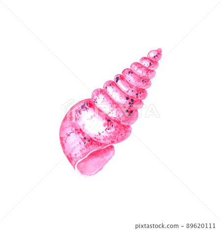 Watercolor shell on a white background Watercolor shell on a white background 89620111