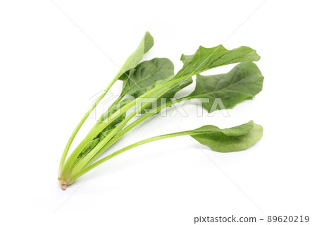 spinach spinach 89620219
