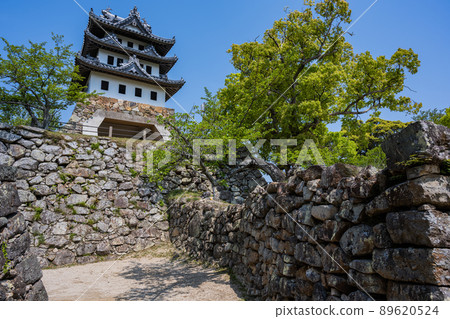 洲本城跡-天守閣 89620524