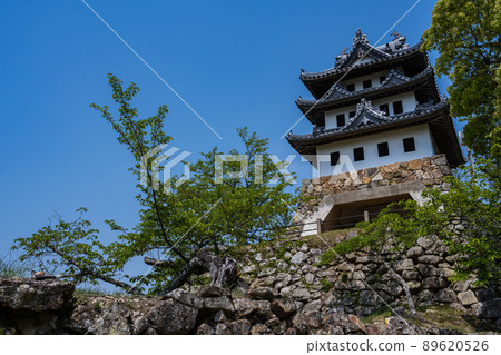 洲本城跡-天守閣 89620526