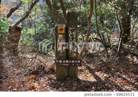 六甲山步道:在陽光綠道(魚屋路)上顯示六甲最高峰和有馬溫泉的目的地信息板 六甲山步道:在陽光綠道(魚屋路)上顯示六甲最高峰和有馬溫泉的目的地信息板 89620531