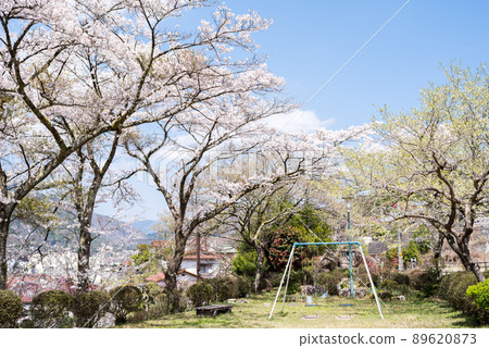 [SL Park] Park and cherry blossoms 89620873