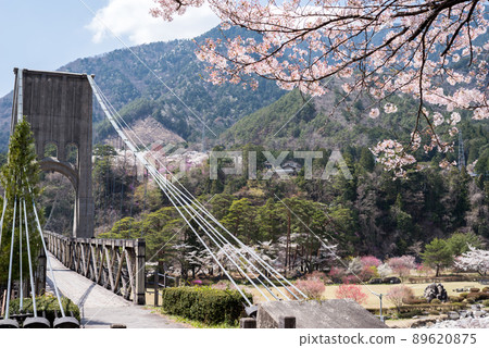 [桃助橋]櫻花和桃助橋 89620875