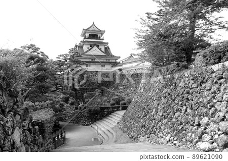 Kochi castle castle tower Kochi castle castle tower 89621090