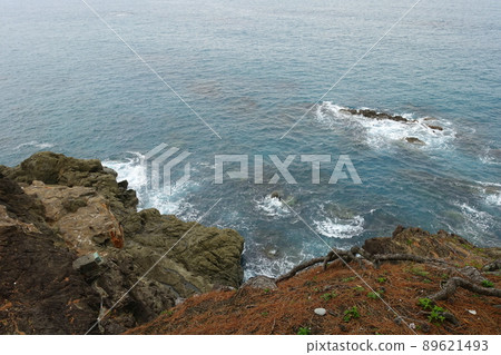 高知桂浜龍王 高知桂浜龍王 89621493