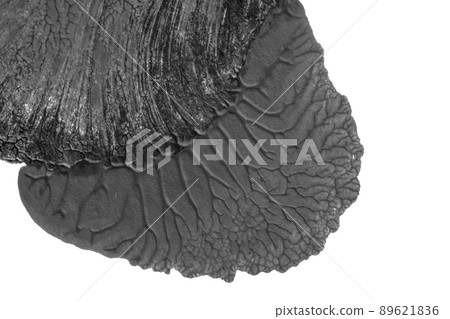 blue purple red yellow abstract acrylic painting color texture on white paper background by using rorschach inkblot method 89621836