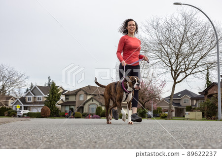 Athletic Caucasian Adult Woman Running outside with a Boxer Dog. Athletic Caucasian Adult Woman Running outside with a Boxer Dog. 89622237