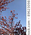 cherry blossom, cherry tree, spring 89623098