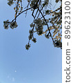 cherry blossom, cherry tree, tree 89623100