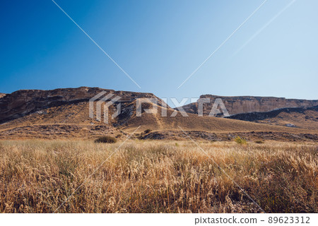 Dry grass and rocky area in desert Dry grass and rocky area in desert 89623312