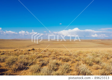 Dry grass growing on countryside in hot day Dry grass growing on countryside in hot day 89623313