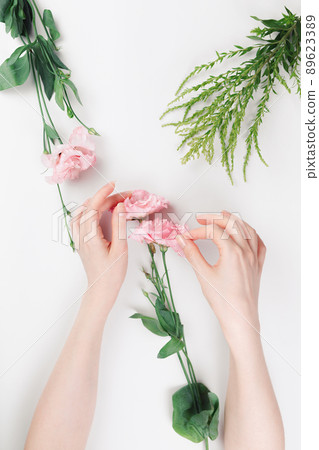 Delicate female hands hold a pink eustoma flower and tear off a petal with their finger. Flat lay. White background with plants. The concept of beauty and naturalness 89623389