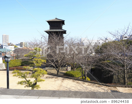 江戶川區新川縣新川千本櫻 89624438