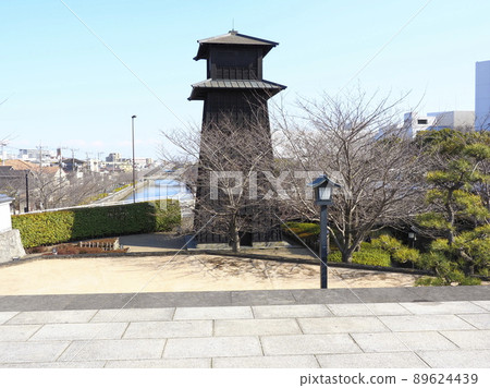 江戶川區新川縣新川千本櫻 89624439