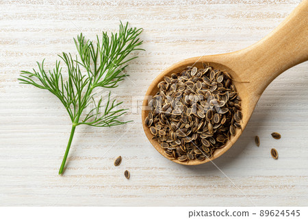 Raw dill seeds in a wooden spoon and sprig of fresh green dill on a rustic wooden table. 89624545