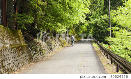 Early summer in Sumata Gorge, a scenic spot in Kawanehon Town, Shizuoka Prefecture 89624556