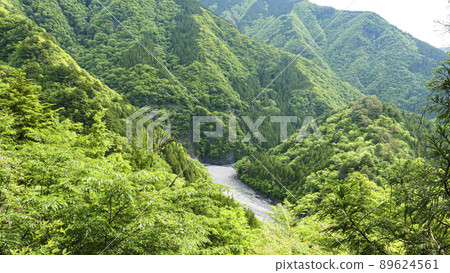 Early summer in Sumata Gorge, a scenic spot in Kawanehon Town, Shizuoka Prefecture 89624561