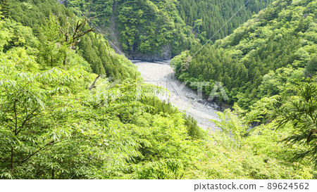 Early summer in Sumata Gorge, a scenic spot in Kawanehon Town, Shizuoka Prefecture 89624562