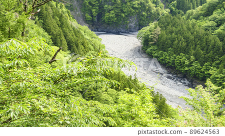 Early summer in Sumata Gorge, a scenic spot in Kawanehon Town, Shizuoka Prefecture 89624563
