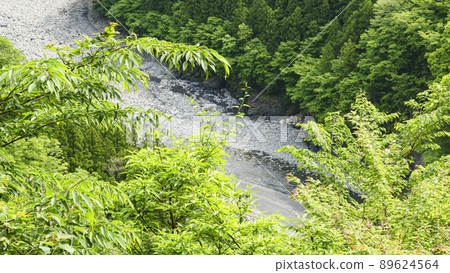 靜岡縣川本町風景名勝須俁峽初夏 89624564