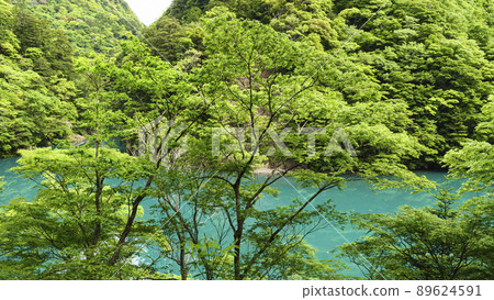 Early summer in Sumata Gorge, a scenic spot in Kawanehon Town, Shizuoka Prefecture Early summer in Sumata Gorge, a scenic spot in Kawanehon Town, Shizuoka Prefecture 89624591
