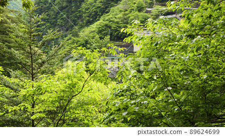 Early summer in Sumata Gorge, a scenic spot in Kawanehon Town, Shizuoka Prefecture Early summer in Sumata Gorge, a scenic spot in Kawanehon Town, Shizuoka Prefecture 89624699