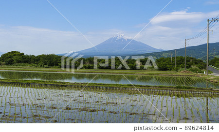 Mt. Fuji (rice planting) in early summer Mt. Fuji (rice planting) in early summer 89624814