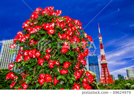 東京鐵塔和玫瑰 東京鐵塔和玫瑰 89624979