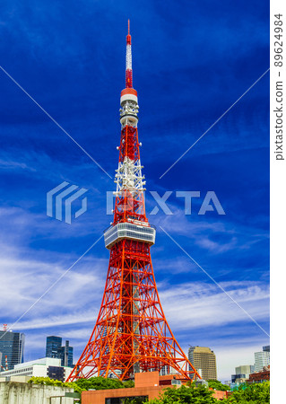 Tokyo Tower and Roses Tokyo Tower and Roses 89624984
