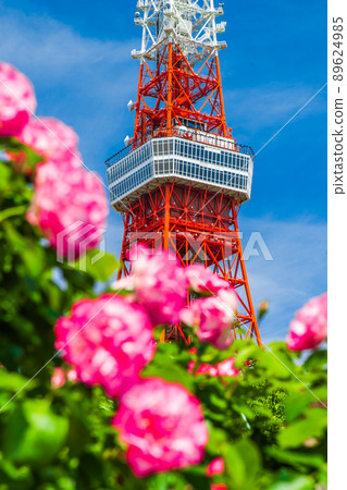 東京鐵塔和玫瑰 東京鐵塔和玫瑰 89624985