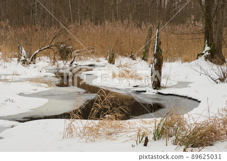 Winter landscape of frozen Lesna River in cloudy day Winter landscape of frozen Lesna River in cloudy day 89625031