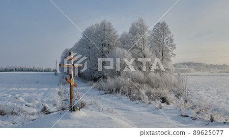 Winter landscape with tree snow wrapped Winter landscape with tree snow wrapped 89625077