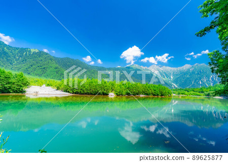 夏季的上高地大正池[長野縣] 89625877