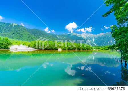 夏季的上高地大正池[長野縣] 89625878