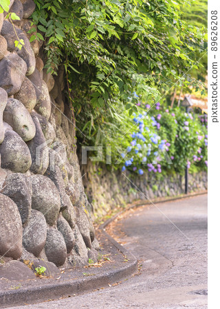 [東京西原]飛鳥山公園的石牆和飛鳥西部繡球的小直徑都模糊了。 89626208