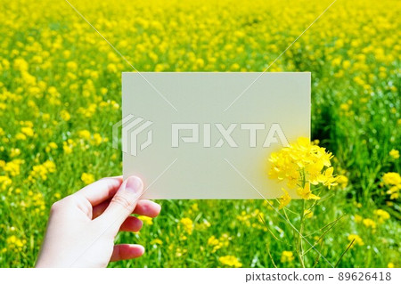 A rectangular beige thick paper mockup held in the background of a yellow rape field A rectangular beige thick paper mockup held in the background of a yellow rape field 89626418