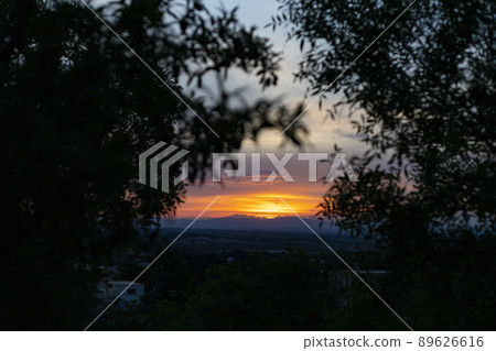 Sunset. Sunset with high clouds leaving the sky orange and blue. Backlight of the leaves and branches of the trees in a park in Madrid, in Spain. Europe. Horizontal photography. 89626616