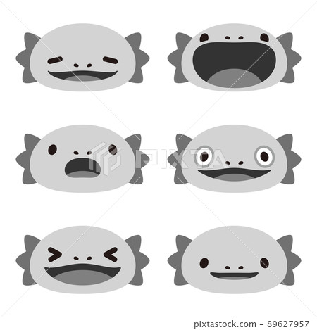 蠑螈 Monochrome 6 Type Set 蠑螈 Monochrome 6 Type Set 89627957
