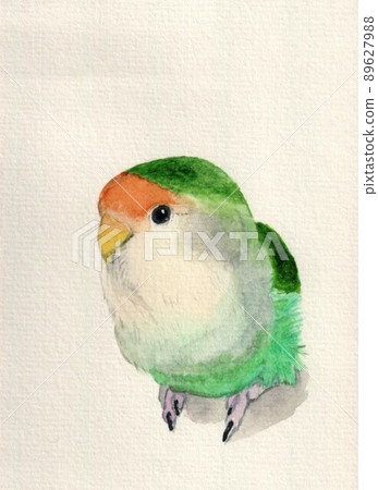 乖巧的科扎·克萊因科 89627988