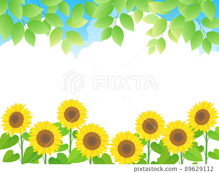 Sunflower and fresh green frame Sunflower and fresh green frame 89629112