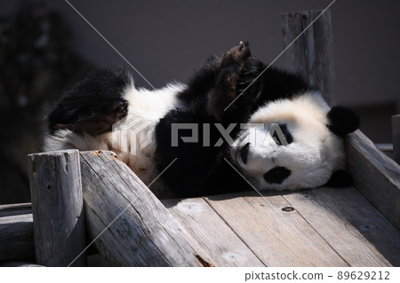 Child panda just before sliding on the slide 89629212