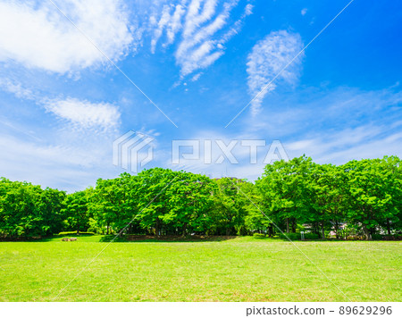 郊區住宅區，清新的綠色公園 89629296