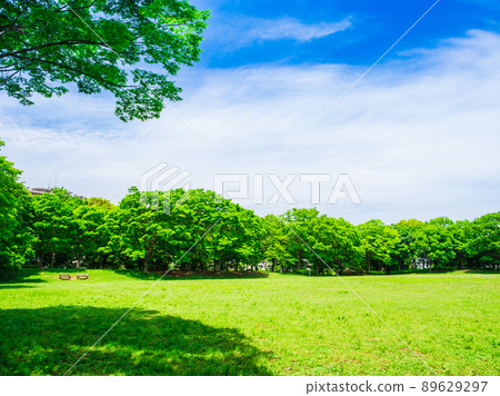 郊區住宅區，清新的綠色公園 89629297