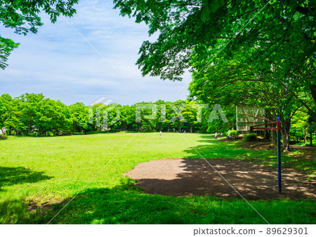 Suburban residential area, fresh green park Suburban residential area, fresh green park 89629301